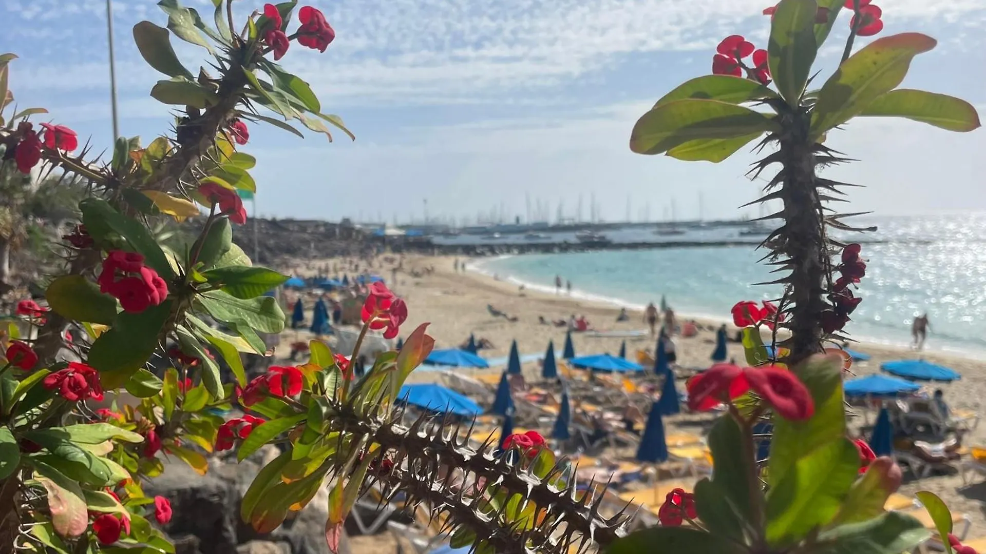 Las Catalinas Fuerteventura El Charco  Сasa de vacaciones El Charco (Las Palmas)